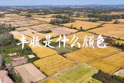 春種一粒粟，秋收萬顆子。多彩的豐收季，只愿五谷豐登，百事興旺3.240_400.jpg