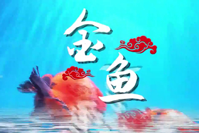 金魚歡躍，流光溢彩！_400.jpg